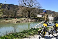 Abe bij het Rijn Donau kanaal