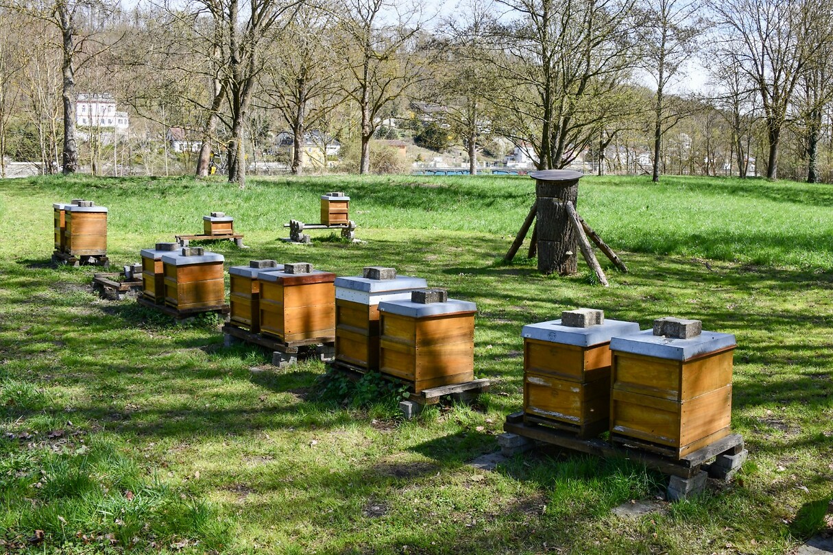 Bij3n kasten in het park