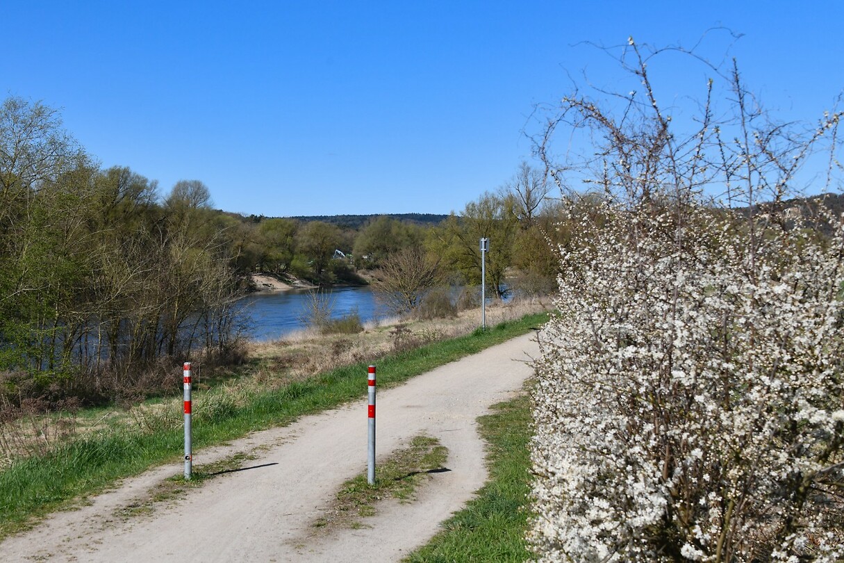 Fietspad langs de Donau bij Bad Abbach