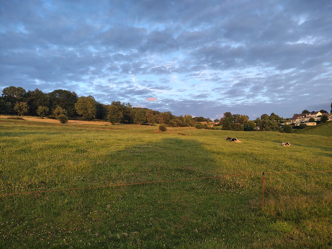 Zonsondergang op de camping