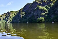 Mosel Lorelei