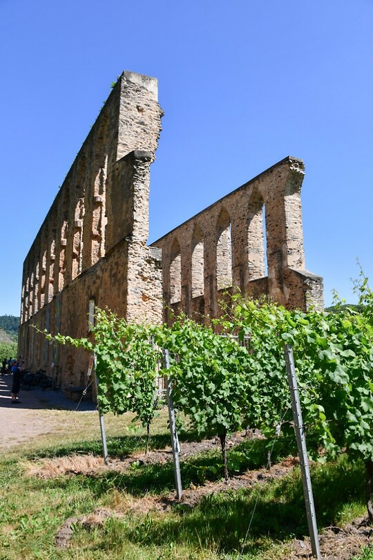 Ruineklooster Stubben