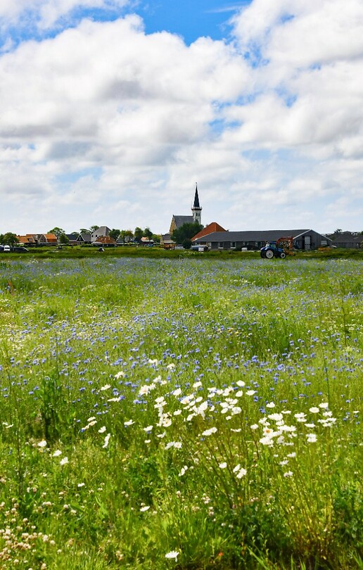 Kerkje Den Hoorn