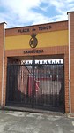 El torro