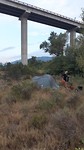 Wildcamp2