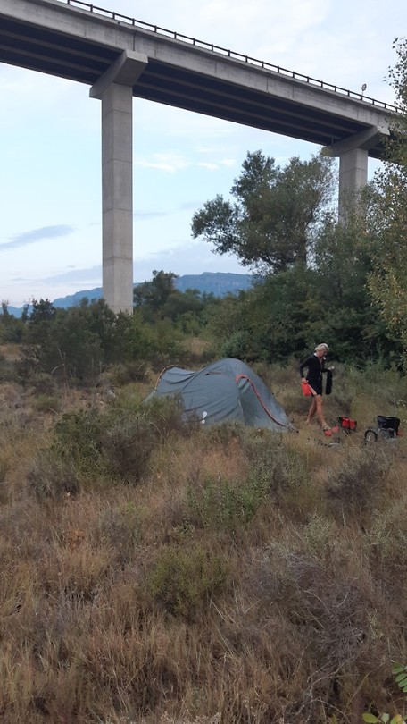 Wildcamp2