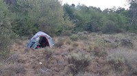 Wild camp1