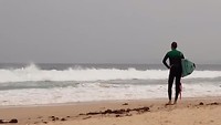 BEACHBOYS
