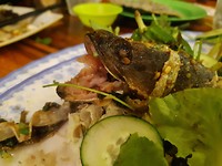 Snakehead fish, echt lekker