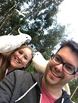 Vriendjes en vogels