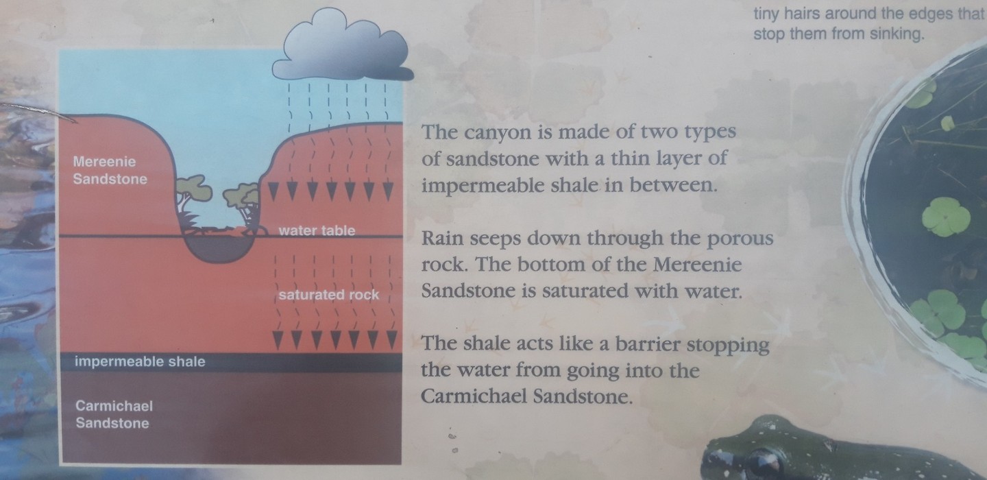 Gesteente en water van Kings Canyon