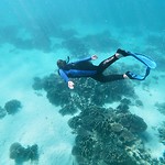 Ningaloo Reef