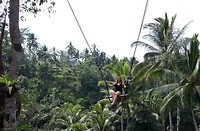 Uma Pekal/ Tegallalang Swing