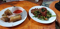 Spring rolls en groentjes