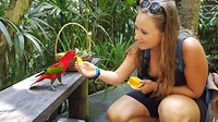 Vogeltje voeren