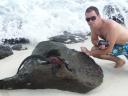 De marine Iguana en ik