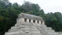 Palenque is omgeven door jungle