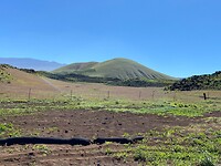 IMG_2201