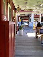 IMG_2203