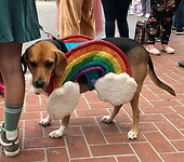 IMG_0726