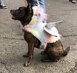 IMG_0752