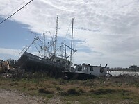 IMG_0769