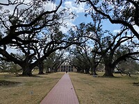 IMG_2725