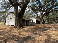IMG_2742