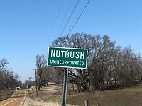 IMG_3341