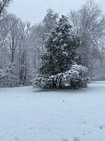 IMG_3811