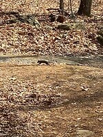 IMG_3980
