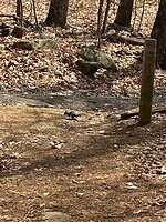 IMG_3978