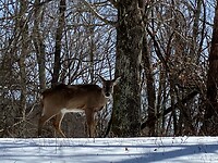 IMG_3897