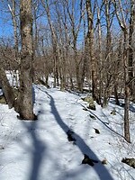 IMG_3914