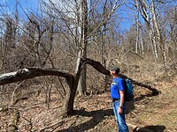 IMG_3972