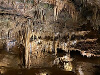 IMG_4168