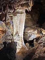 IMG_4176