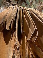 IMG_4190