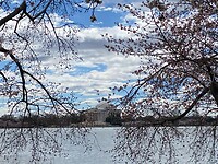 IMG_4381