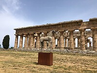 IMG_3051