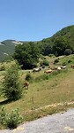 IMG_6663