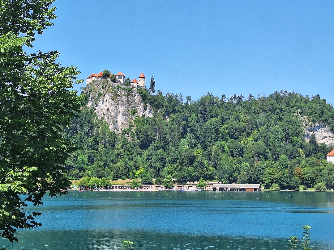 Bled (1)