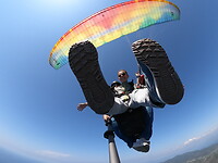 Bottom-up view