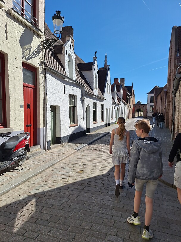 Wat een prachtige binnenkomst in Brugge
