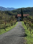 Toscaans
