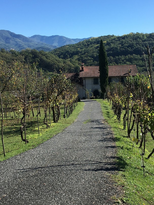 Toscaans