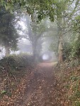 Haast mysterieus