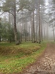 Triest picknickplekje