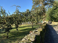Fruitbomen
