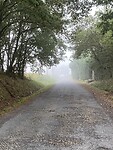 Alweer mist